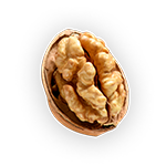 Walnut